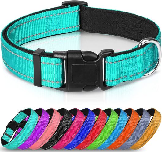 Why the Right Collar Matters: Meet the Durable, Adjustable Nylon Dog Collar for Dogs of All Sizes